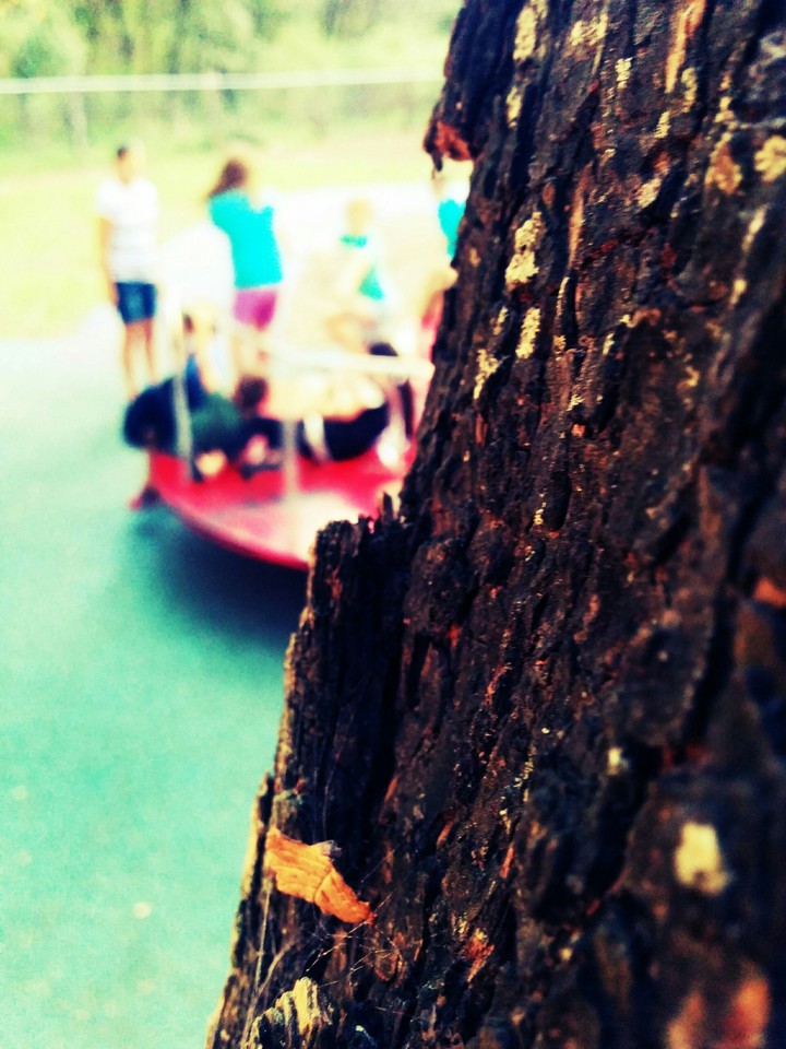 At The Park
