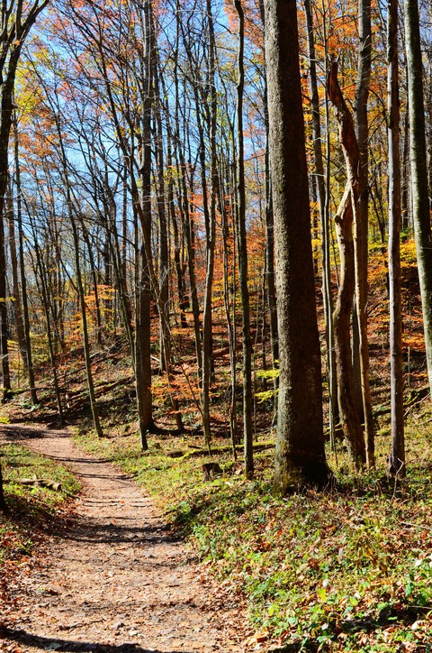 path to autumn