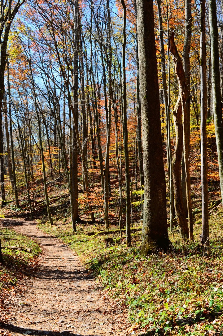 path to autumn