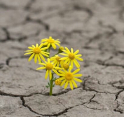hope