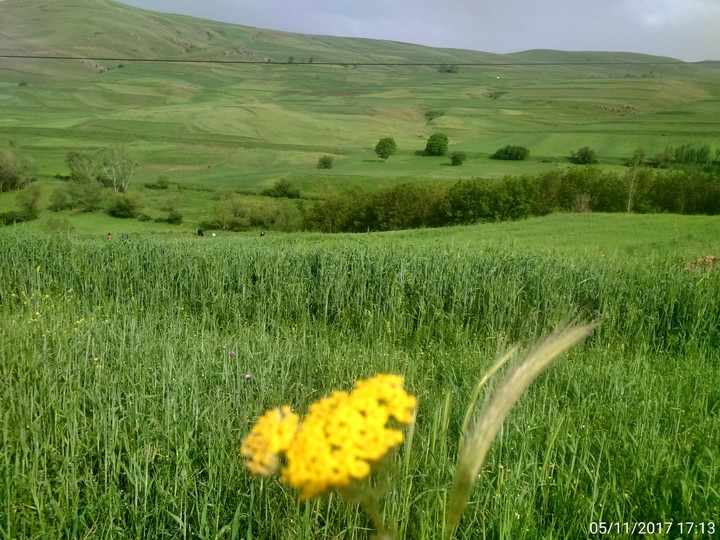 spring view