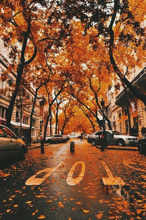 autumn