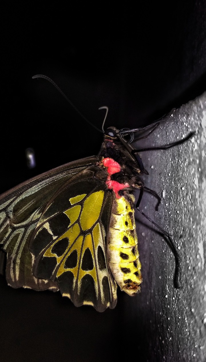 unexpected click