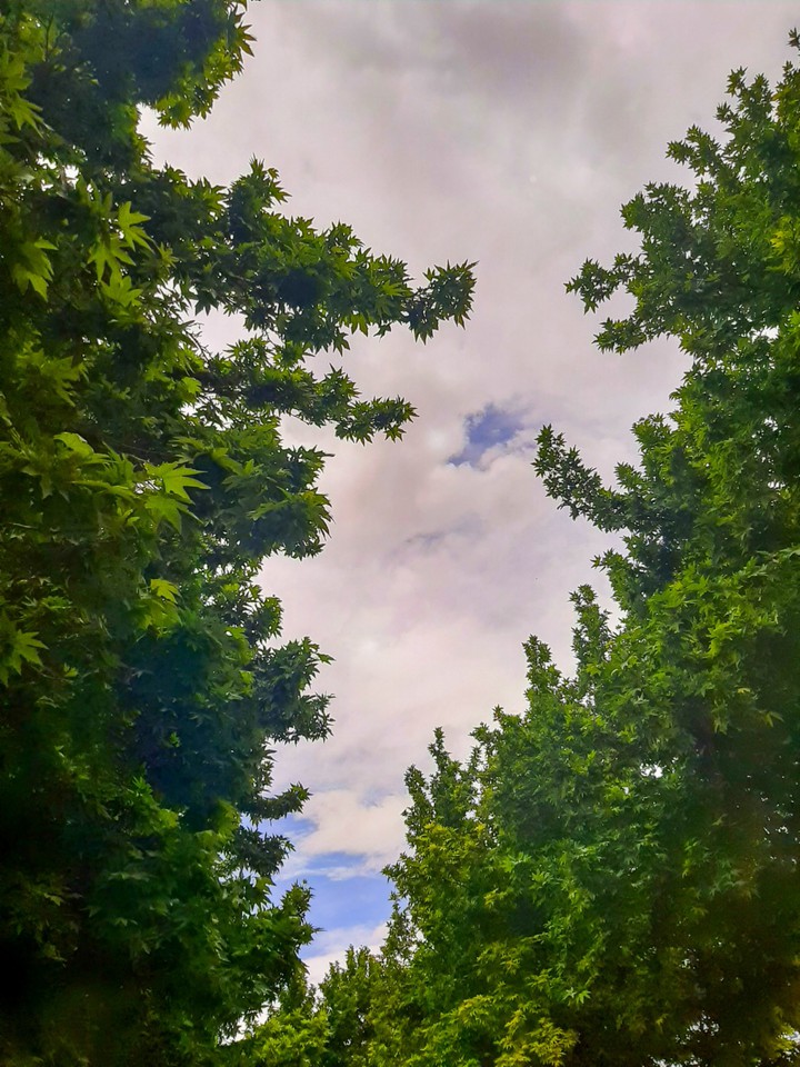 sky