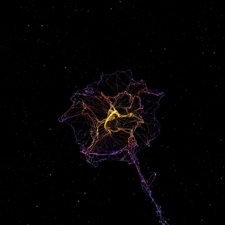 plasma ?