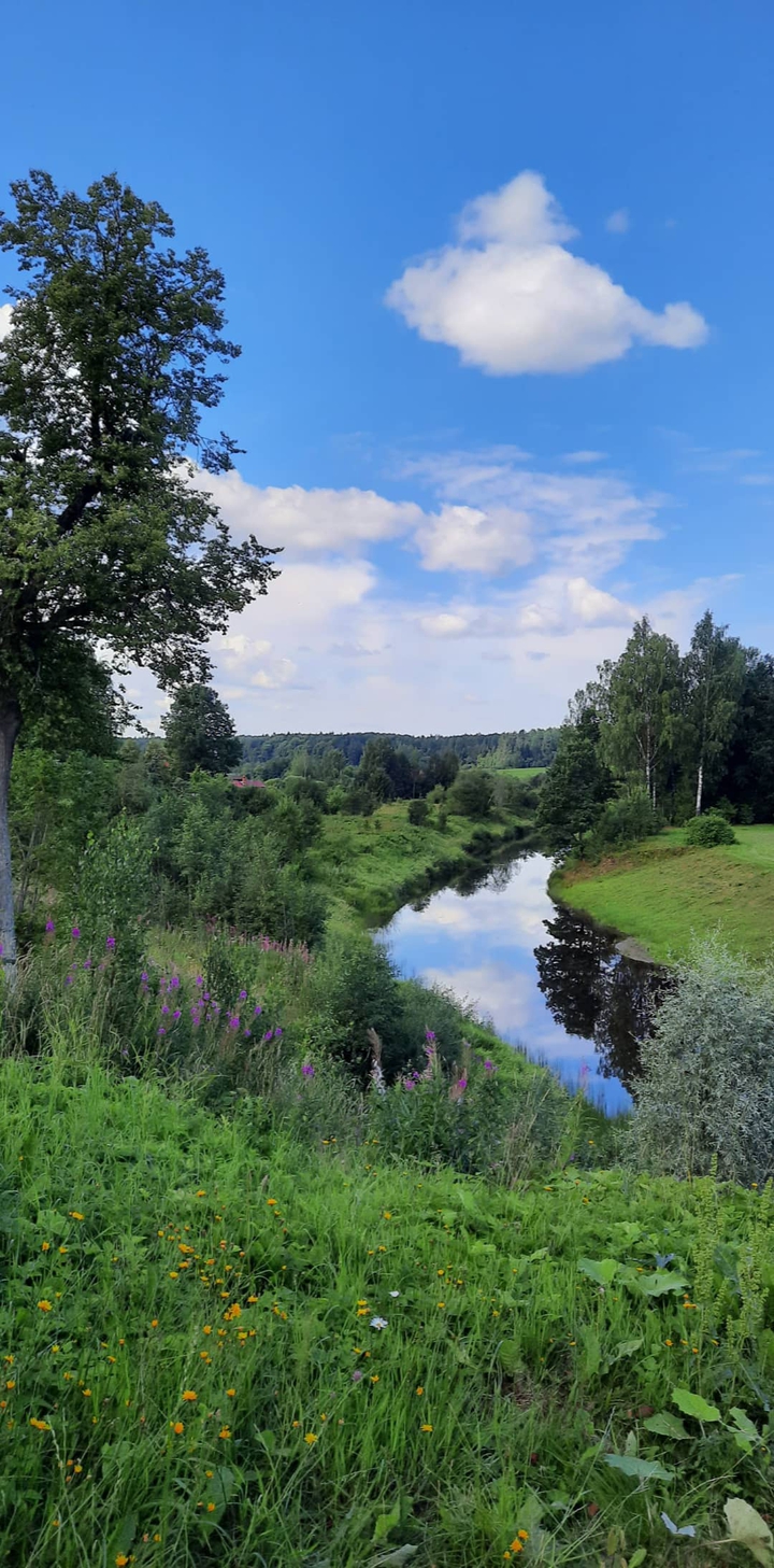 Nature