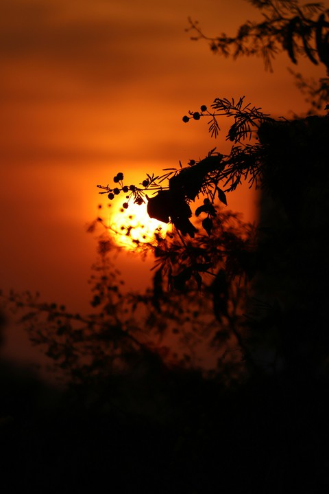 sunset view.