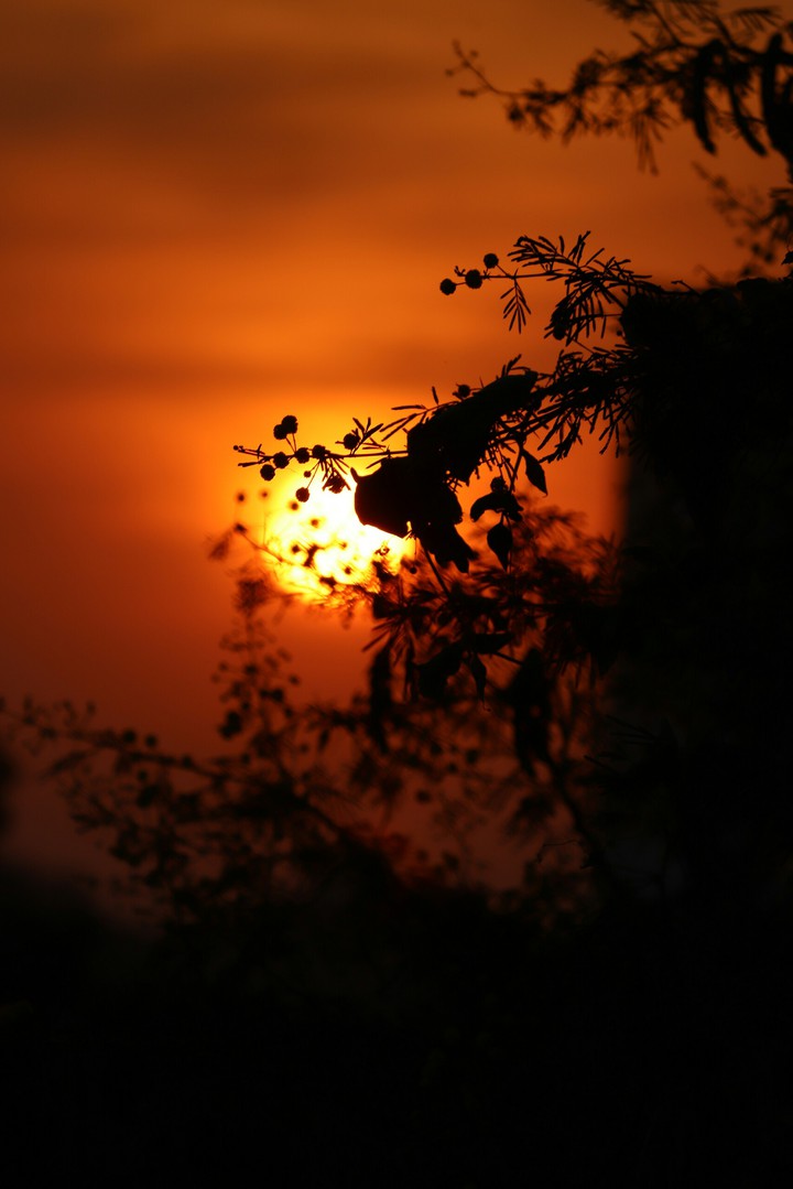 sunset view.