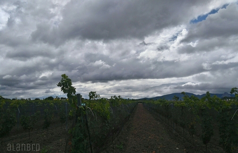 Finca Sala Vive
