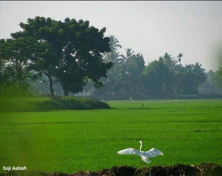 keralam