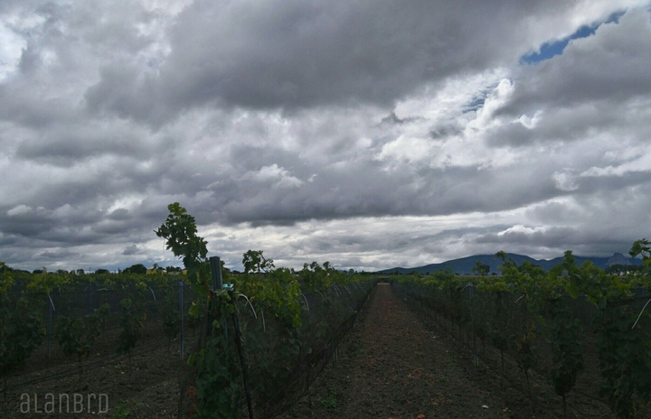 Finca Sala Vive