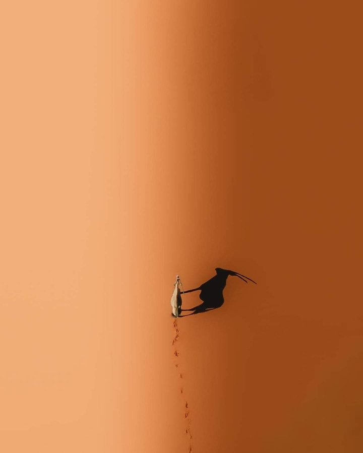 .