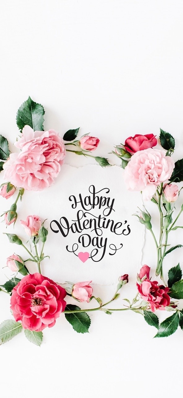Happy Valentine's day ❤️