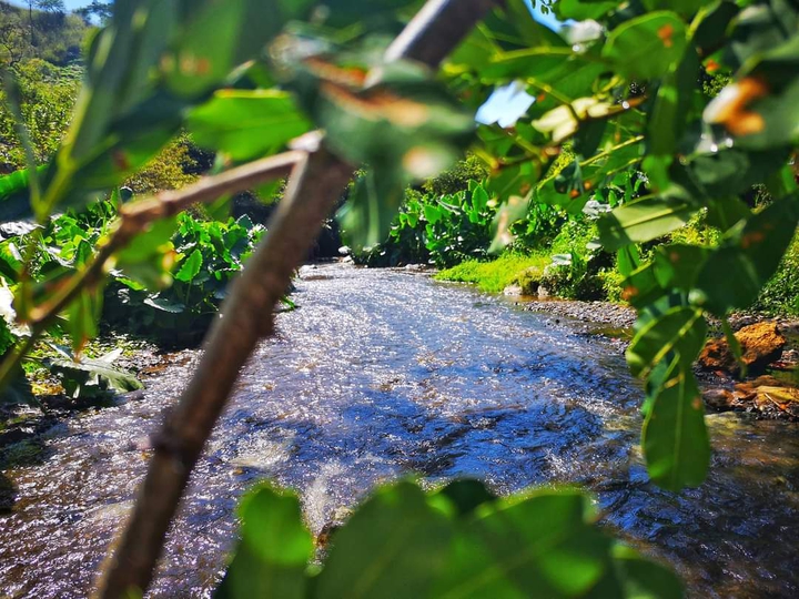 Río