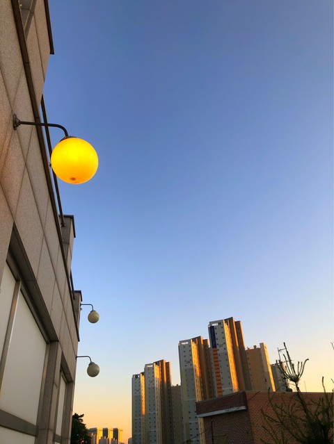 아파트