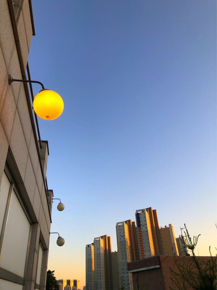 아파트