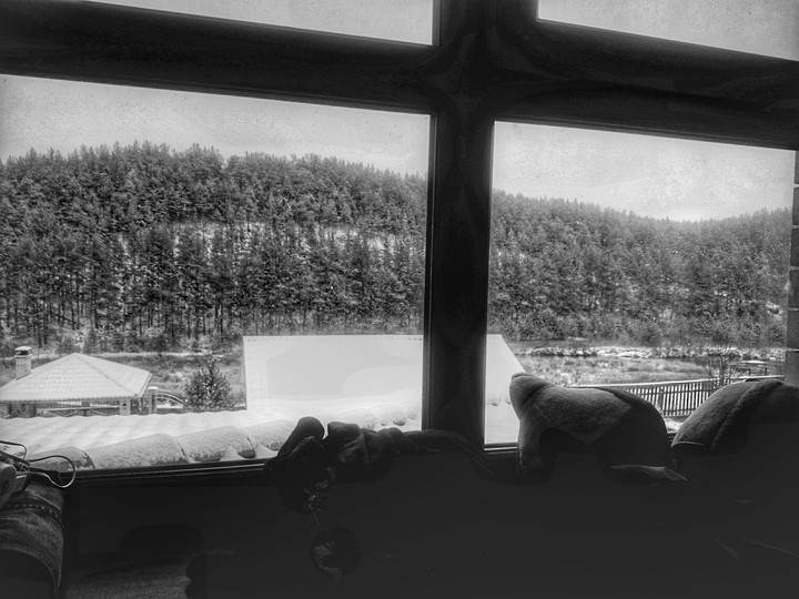 windows