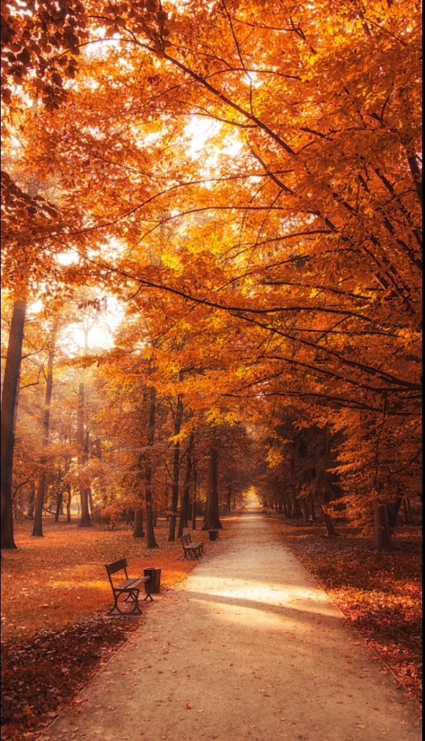 camino al otoño.