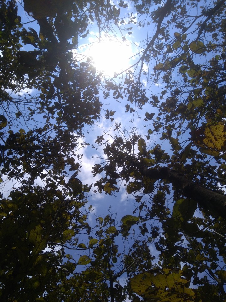 High
