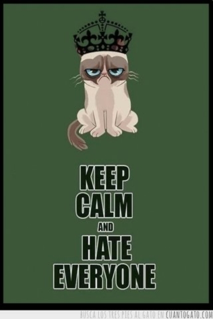 Grumpy Cat's Quote 