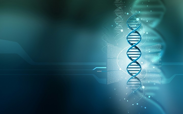DNA