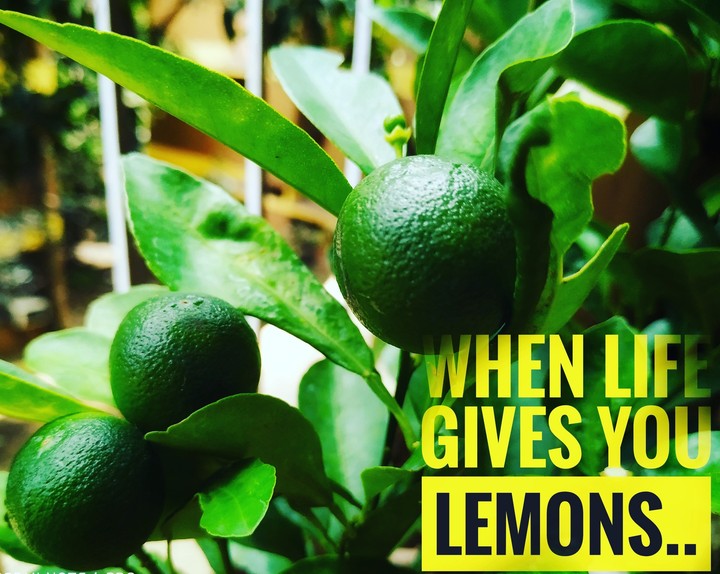 lemons