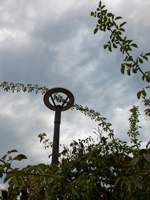 Rainy