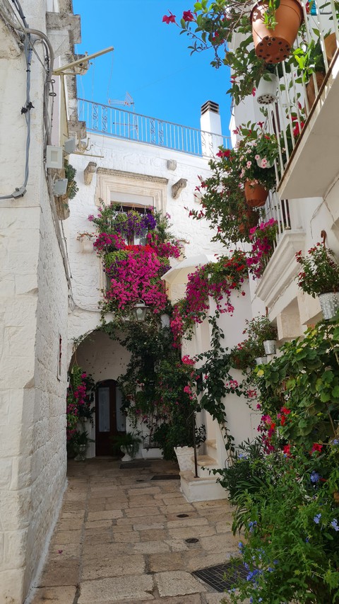cisternino