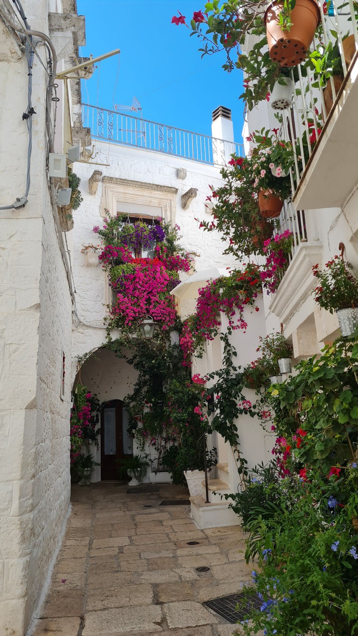 cisternino