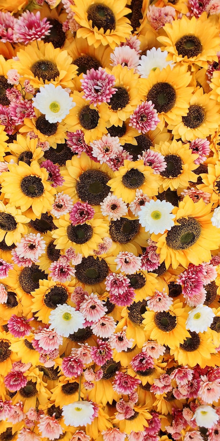 Flower Pattern