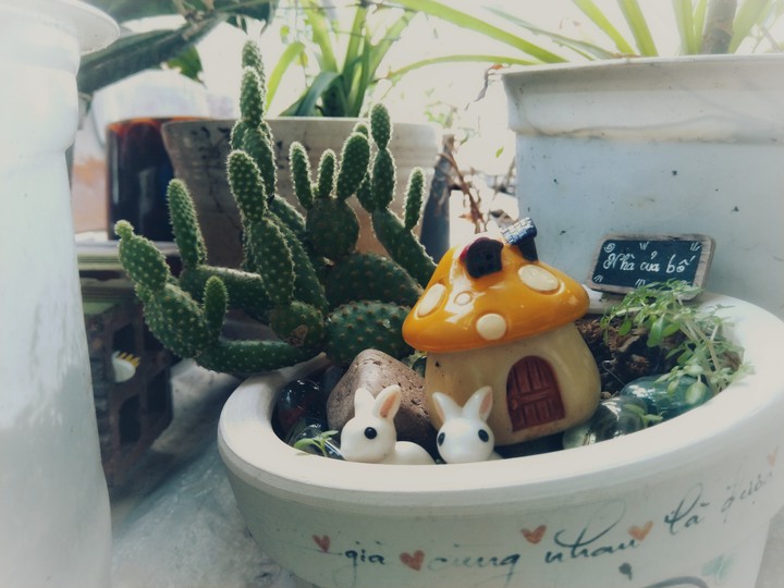Little House