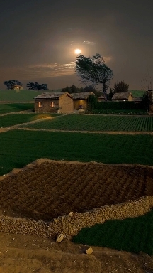 LAND