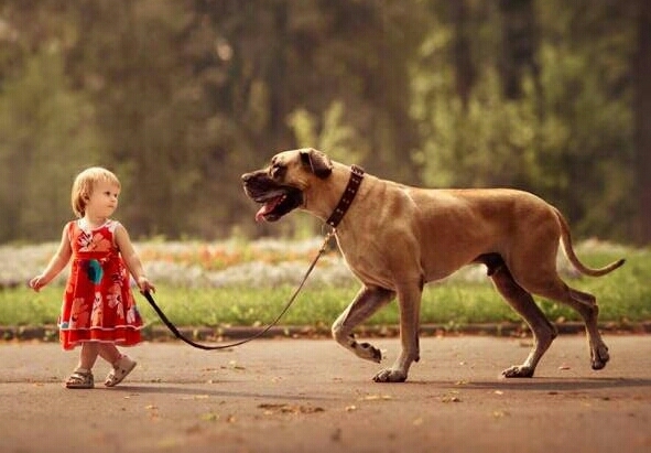 friends