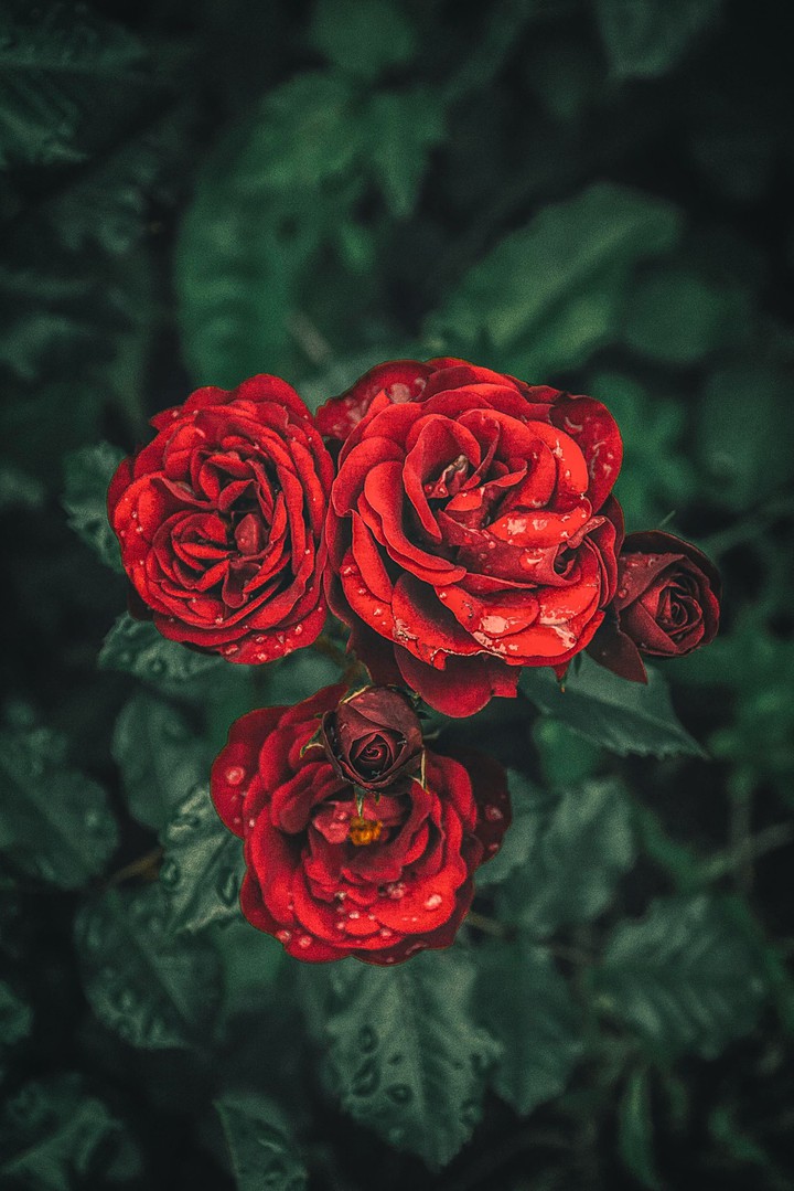 nature