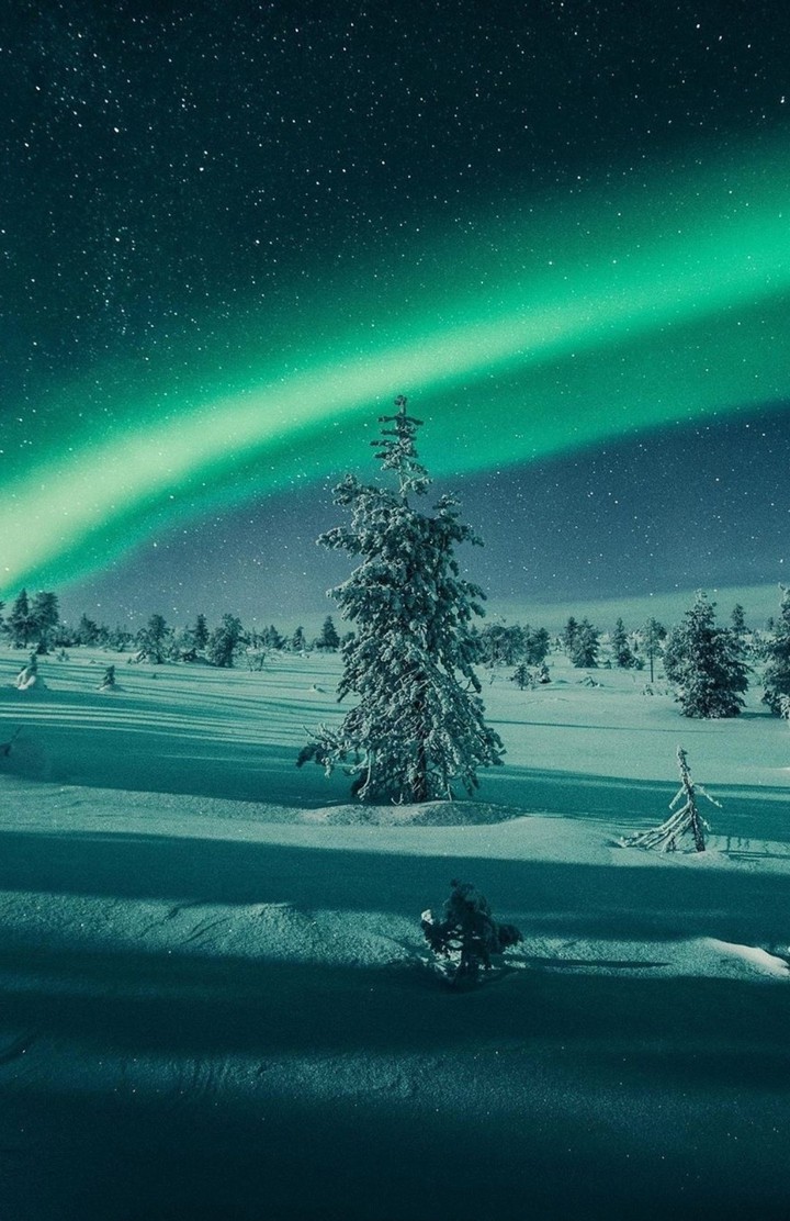 aurora borealis and stars in winter sky