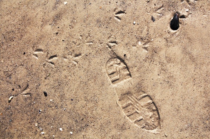 Track