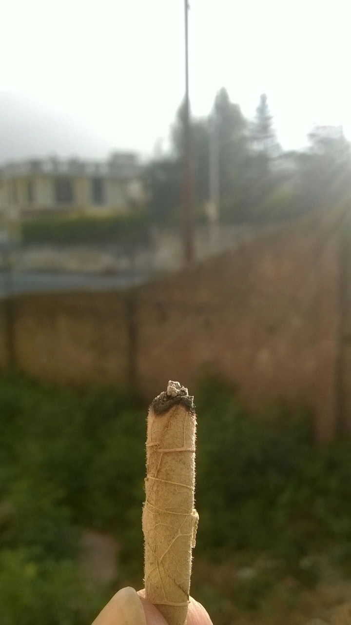 cigarettes