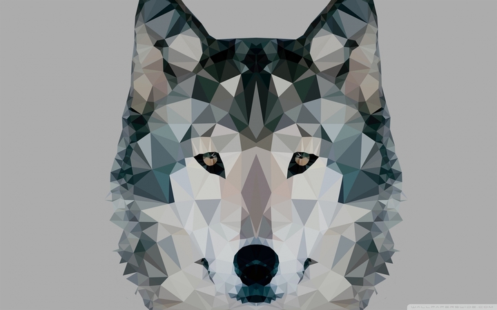 foxxxx