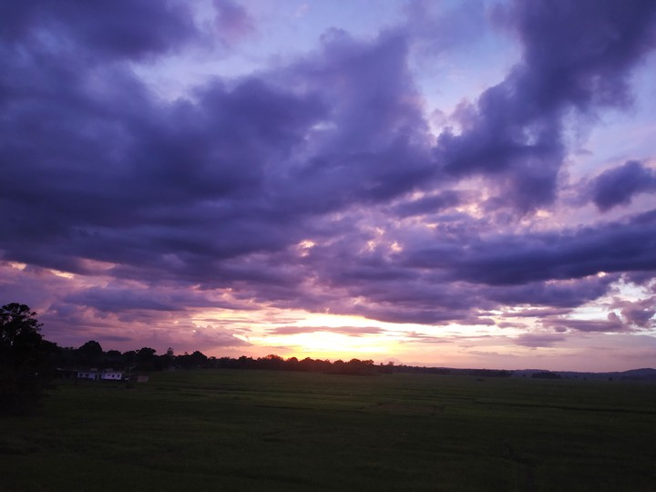 Evening Sun