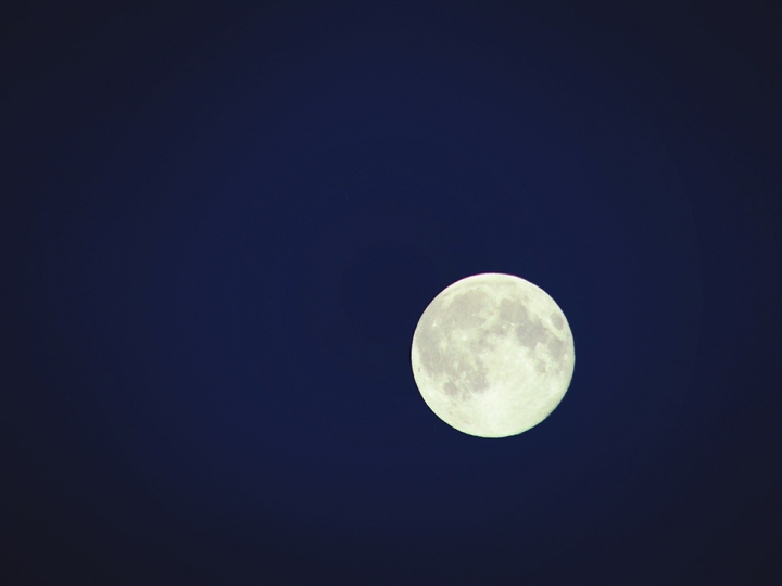 Enlightened by the Moon