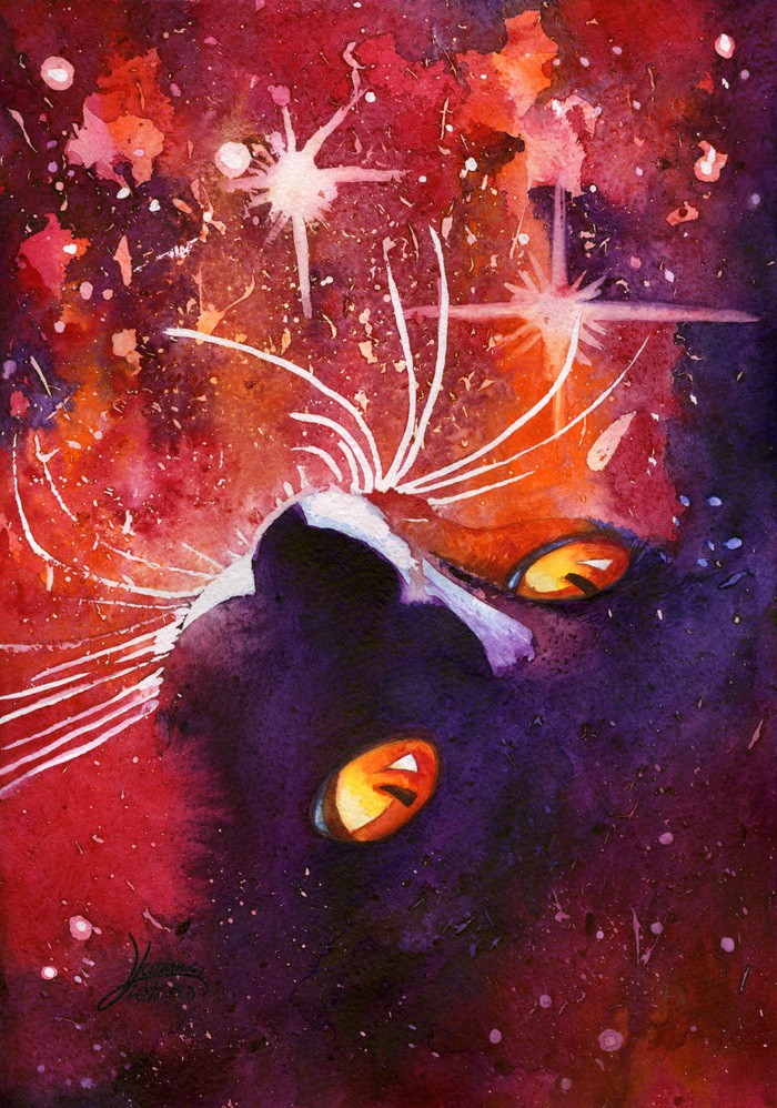 котик и космос