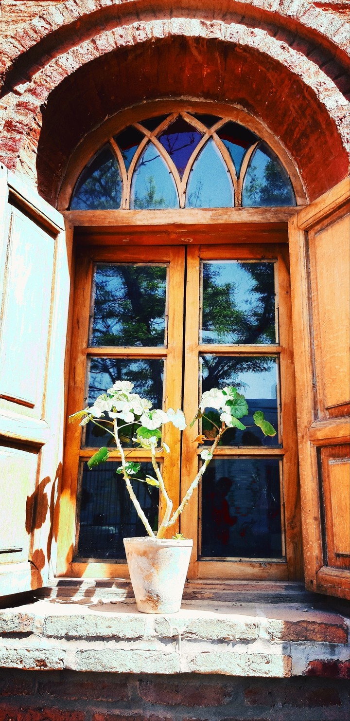 window