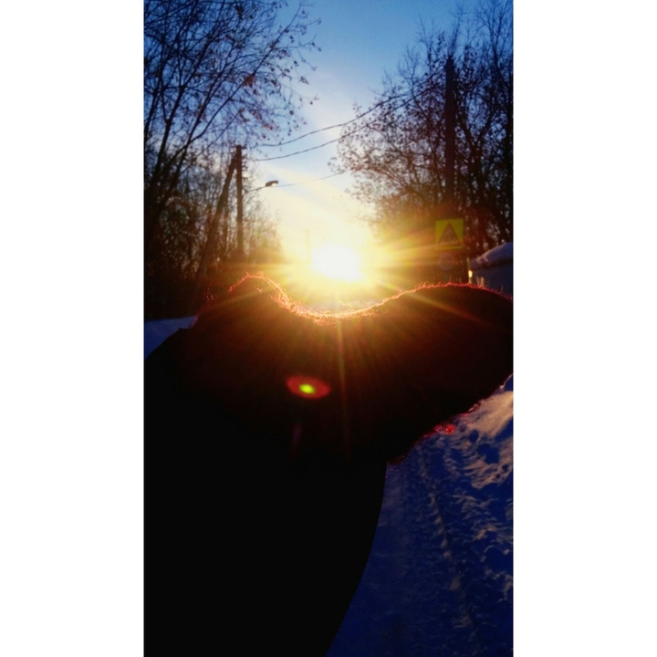 Morning sun