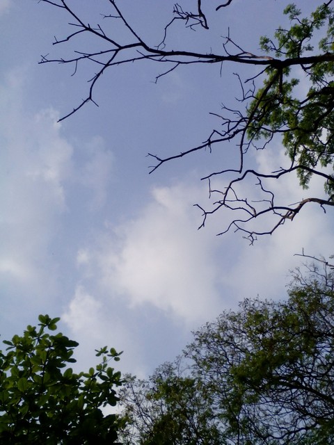 Freedom