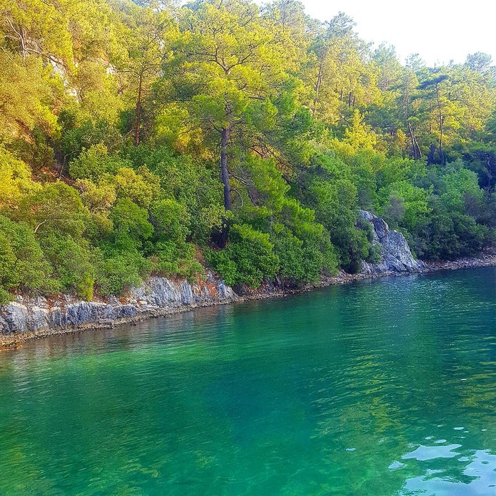 göcek 12 island