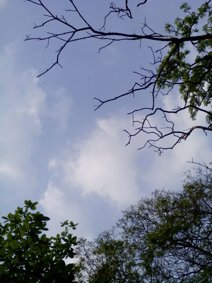 Freedom