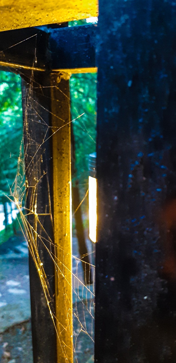 Spider web