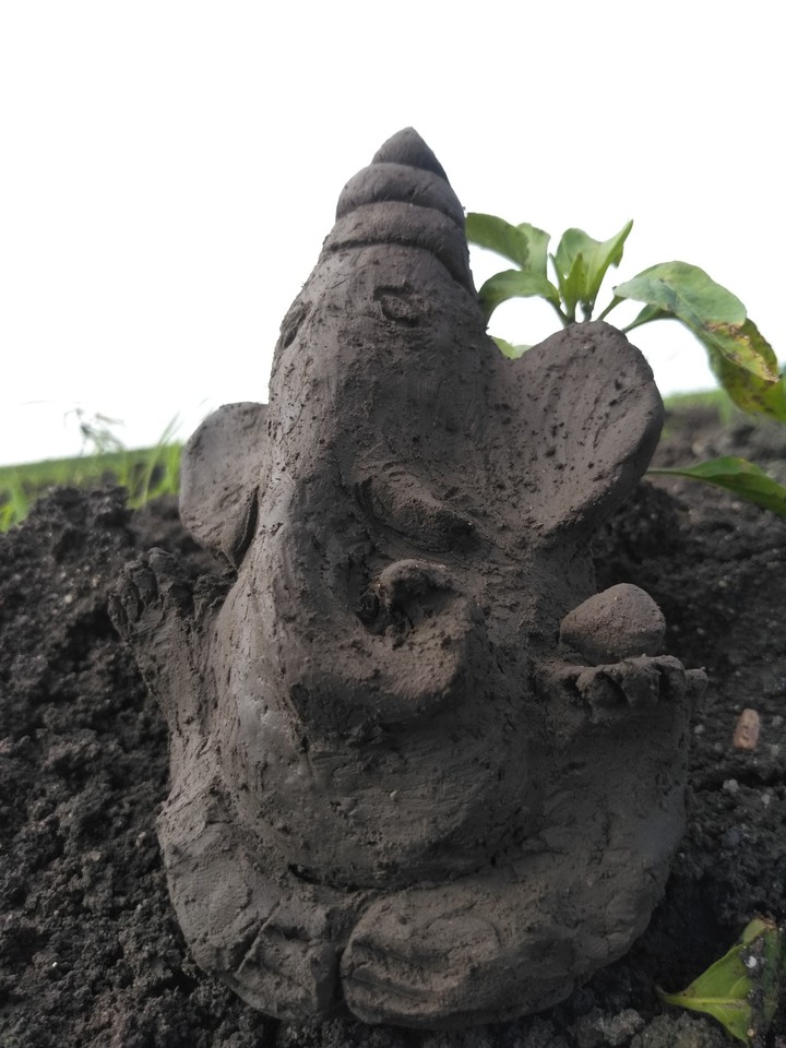 Lord Ganesh