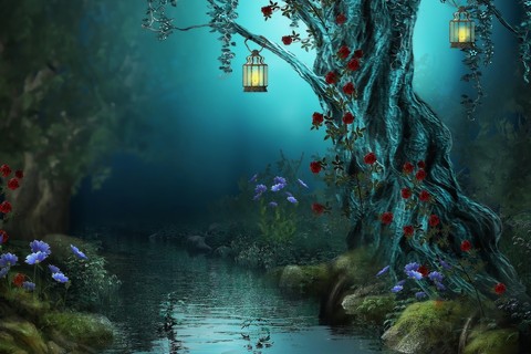 forest, Water wallpapers