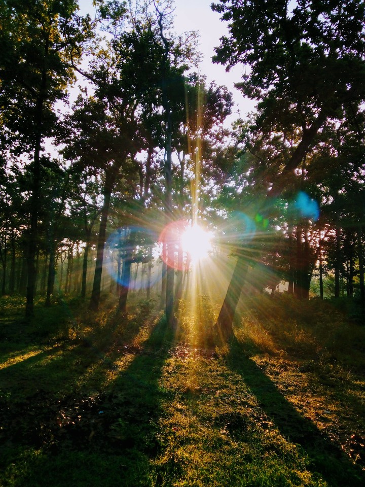 morning ☀️